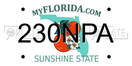 230NPA Florida License Plate