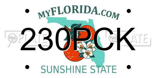 230PCK Florida License Plate