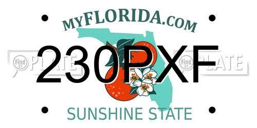 230PXF Florida License Plate