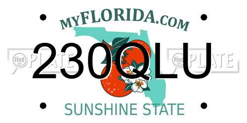 230QLU Florida License Plate
