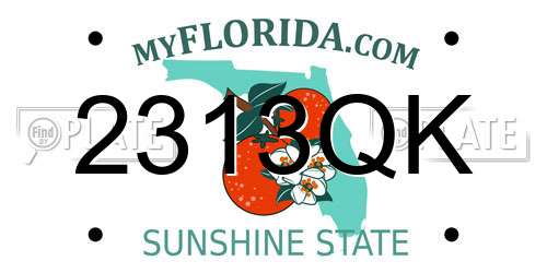 2313QK Florida License Plate