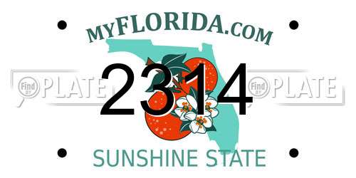 2314 Florida License Plate