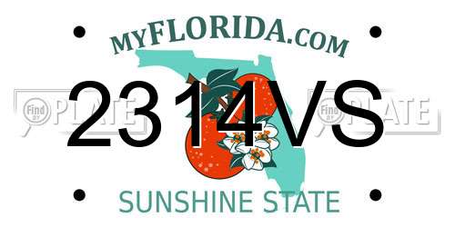 2314VS Florida License Plate