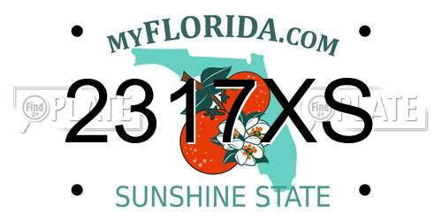 2317XS Florida License Plate