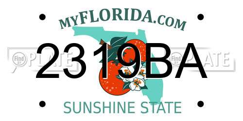 2319BA Florida License Plate