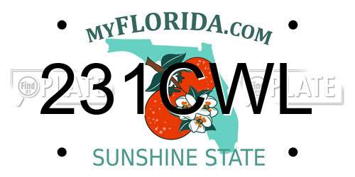 231CWL Florida License Plate