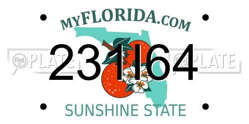 231I64 Florida License Plate