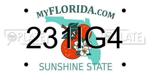 231IG4 Florida License Plate
