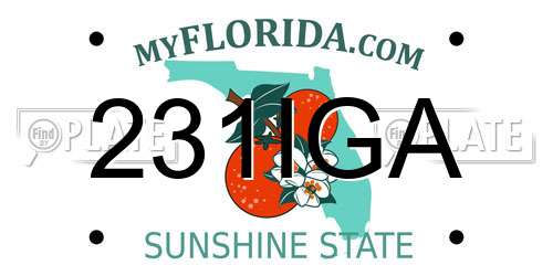231IGA Florida License Plate