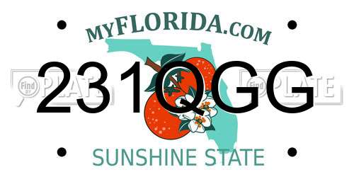 231QGG Florida License Plate