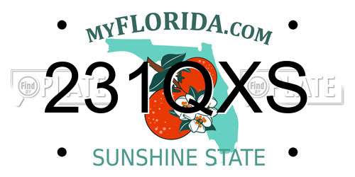 231QXS Florida License Plate