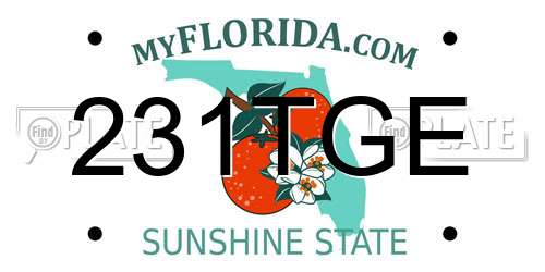 231TGE Florida License Plate