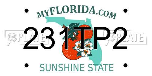 231TP2 Florida License Plate
