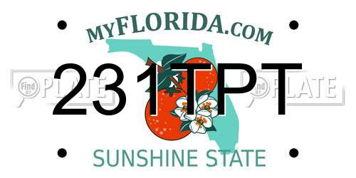 231TPT Florida License Plate