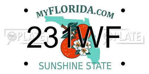 231WF Florida License Plate