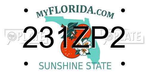 231ZP2 Florida License Plate