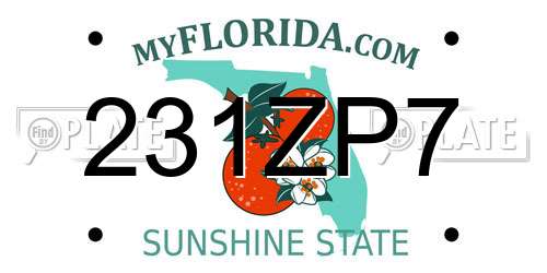 231ZP7 Florida License Plate