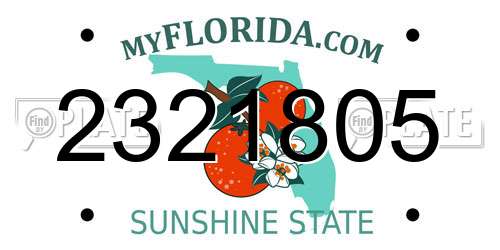 2321805 Florida License Plate