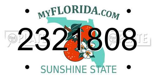 2321808 Florida License Plate