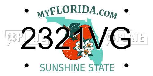 2321VG Florida License Plate