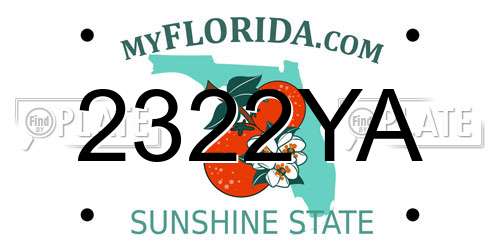 2322YA Florida License Plate