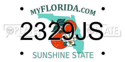 2329JS Florida License Plate