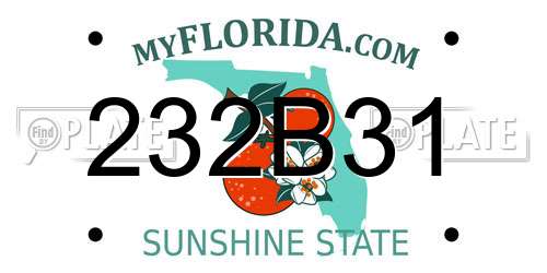 232B31 Florida License Plate