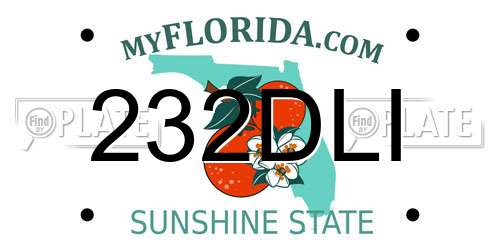 232DLI Florida License Plate