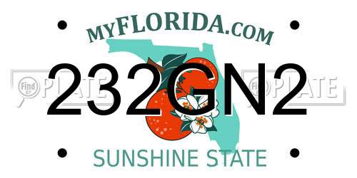 232GN2 Florida License Plate