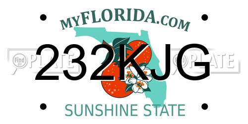 232KJG Florida License Plate