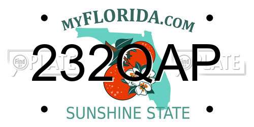232QAP Florida License Plate