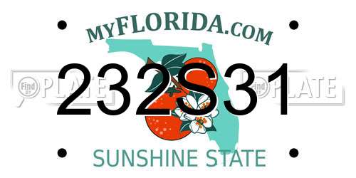 232S31 Florida License Plate