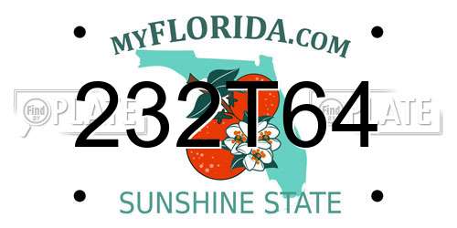 232T64 Florida License Plate