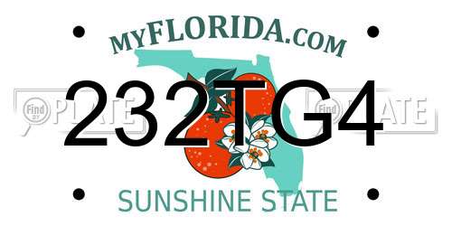 232TG4 Florida License Plate