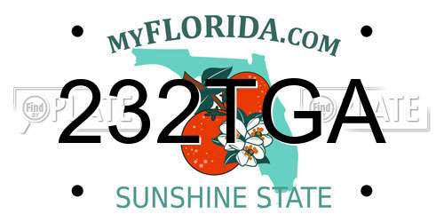 232TGA Florida License Plate