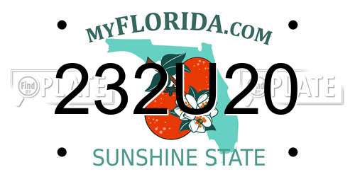 232U20 Florida License Plate