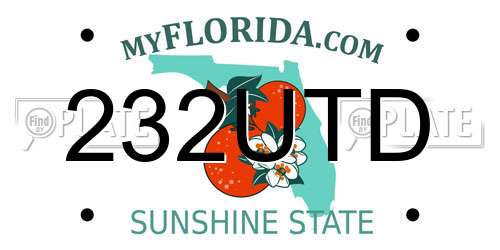 232UTD Florida License Plate