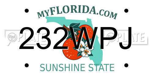 232WPJ Florida License Plate