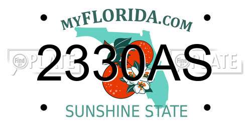 2330AS Florida License Plate