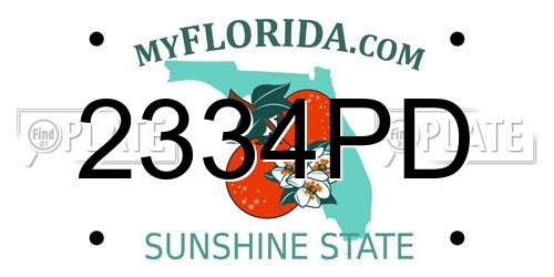 2334PD Florida License Plate