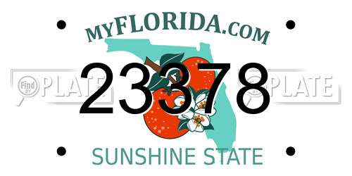 23378 Florida License Plate