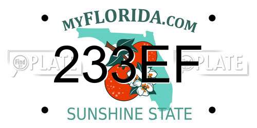233EF Florida License Plate
