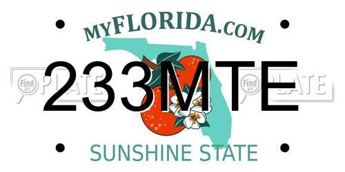 233MTE Florida License Plate
