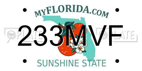 233MVF Florida License Plate