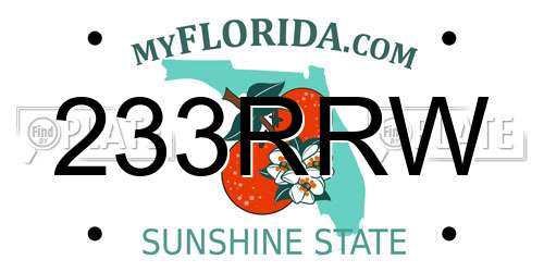 233RRW Florida License Plate