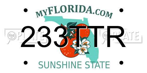 233TTR Florida License Plate