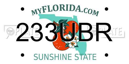 233UBR Florida License Plate