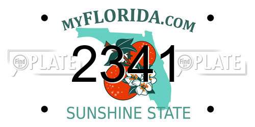 2341 Florida License Plate
