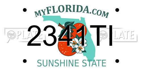 2341TI Florida License Plate