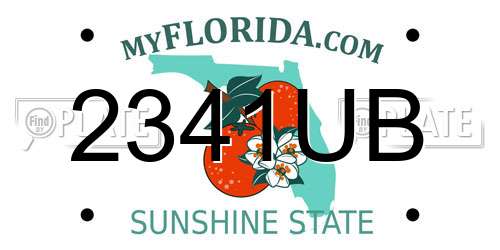 2341UB Florida License Plate